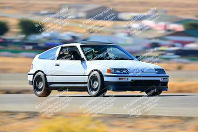 media/Nov-16-2024-Extreme Speed (Sat) [[6587d07cc4]]/Gold Group/Session 1 (Turn 2)/